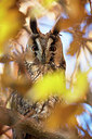 BUITEN BEELD Foto: 307459