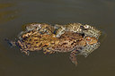 BUITEN BEELD Foto: 307498
