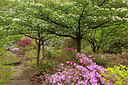 BUITEN BEELD Foto: 307545