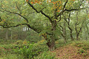 BUITEN BEELD Foto: 307566