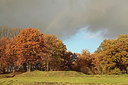 BUITEN BEELD Foto: 307579