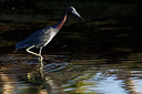 BUITEN BEELD Foto: 307603