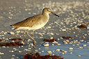 BUITEN BEELD Foto: 307624