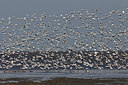 BUITEN BEELD Foto: 307675