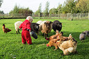 BUITEN BEELD Foto: 307728
