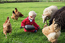 BUITEN BEELD Foto: 307729