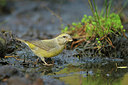 BUITEN BEELD Foto: 307818