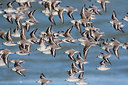 BUITEN BEELD Foto: 307904