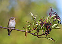 BUITEN BEELD Foto: 307907