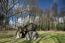 BUITEN BEELD Foto: 307942