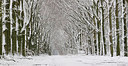 BUITEN BEELD Foto: 307948