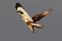 BUITEN BEELD Foto: 308022