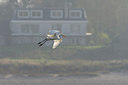 BUITEN BEELD Foto: 308145
