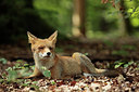 BUITEN BEELD Foto: 308156