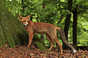 BUITEN BEELD Foto: 308175