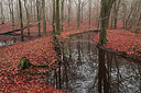 BUITEN BEELD Foto: 308181