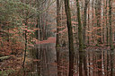 BUITEN BEELD Foto: 308185