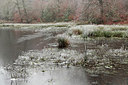 BUITEN BEELD Foto: 308190
