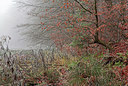 BUITEN BEELD Foto: 308195