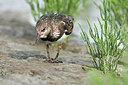 BUITEN BEELD Foto: 308197