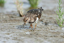 BUITEN BEELD Foto: 308202