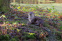 BUITEN BEELD Foto: 308249