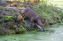 BUITEN BEELD Foto: 308252