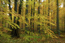BUITEN BEELD Foto: 308355