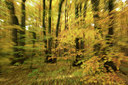 BUITEN BEELD Foto: 308358