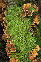 BUITEN BEELD Foto: 308364