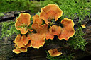 BUITEN BEELD Foto: 308393