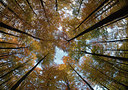 BUITEN BEELD Foto: 308405