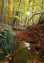 BUITEN BEELD Foto: 308435