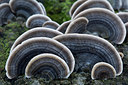 BUITEN BEELD Foto: 308445