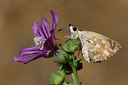 BUITEN BEELD Foto: 308477