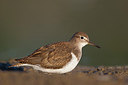 BUITEN BEELD Foto: 308671
