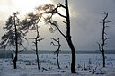 BUITEN BEELD Foto: 308722