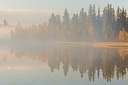 BUITEN BEELD Foto: 308763
