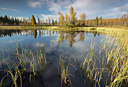 BUITEN BEELD Foto: 308765