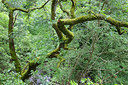 BUITEN BEELD Foto: 308816