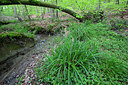 BUITEN BEELD Foto: 308825