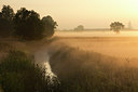 BUITEN BEELD Foto: 308840