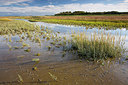 BUITEN BEELD Foto: 308847
