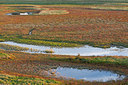 BUITEN BEELD Foto: 308849