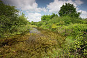 BUITEN BEELD Foto: 308857