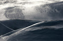 BUITEN BEELD Foto: 308931
