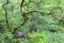 BUITEN BEELD Foto: 308938