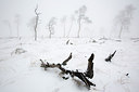 BUITEN BEELD Foto: 308942