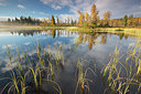 BUITEN BEELD Foto: 308993