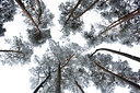 BUITEN BEELD Foto: 308996